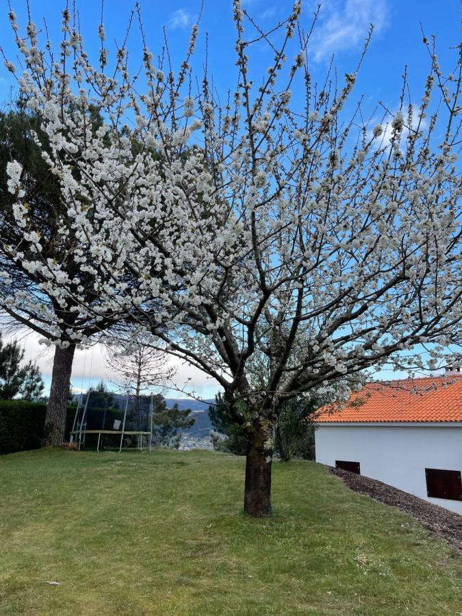 Villa Casa Catita - Douro Baião Esterno foto