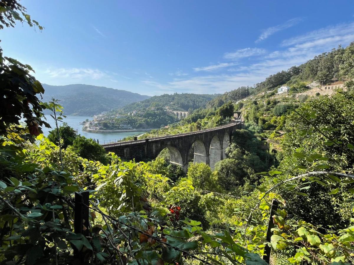 Villa Casa Catita - Douro Baião Esterno foto
